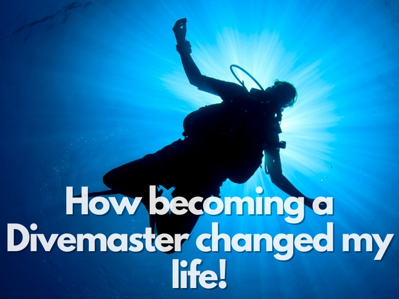 How Becoming A Divemaster Changed My Life!